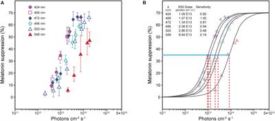 Modeling Circadian Phototransduction: Quantitative Predictions of Psychophysical Data